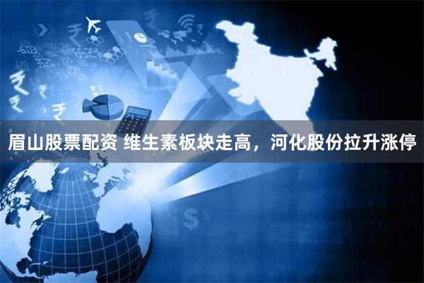 眉山股票配资 维生素板块走高，河化股份拉升涨停